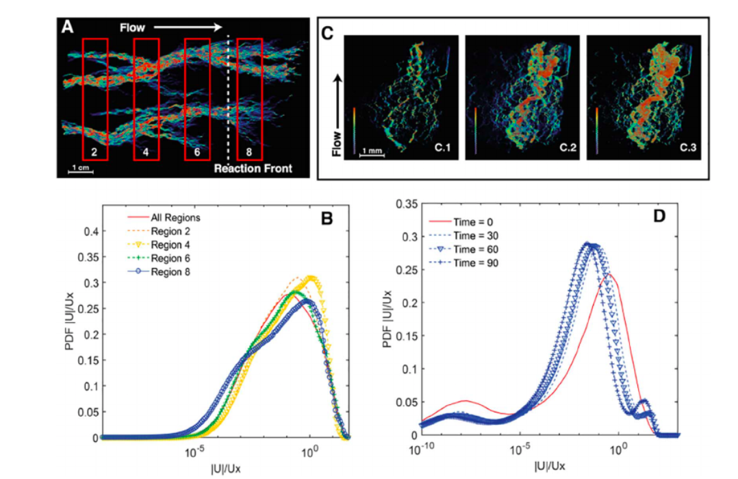 Multiscale velocity field visualization showing core scale flow patterns and pore scale experiments for dissolution analysis